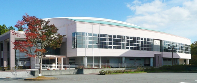 Picture of Athletic Gymnasium